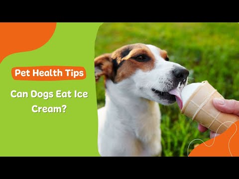 Can Dogs Eat Ice Cream?
