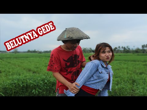 janda-g4t3l-menanam-benih-kehidupan
