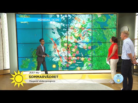 Här blir det regn de närmsta 7 dagarna - Nyhetsmorgon (TV4)