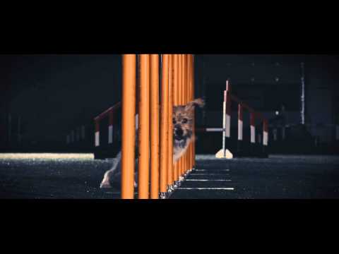 Connection, Silence, OneMind