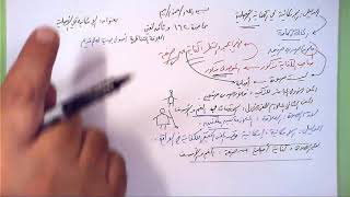 صورة 162 ★  الإمكانية في الأصلية