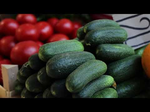 Ceger ep. 728 31. 08. 2021.