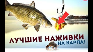 Правильная прикормка для ловли карпа в мае