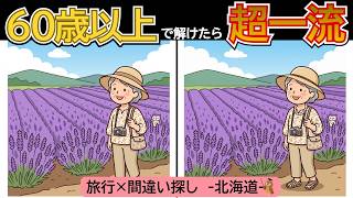 【脳トレ】北海道を旅しながら間違い探し！札幌時計台・海鮮丼など全5問｜60代・70代・80代におすすめ！