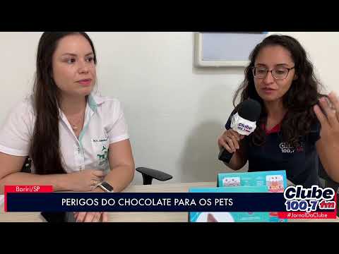 PÁSCOA: OS PERIGOS DO CHOCOLATE PARA OS PETS