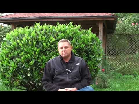 Warum ich meine Kinder nicht mehr impfen lasse mutiger Vater packt aus