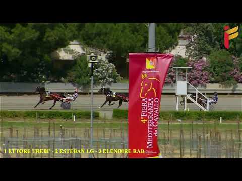 Prova di qualifica del 1 giugno 2022 - 2 Anni - Metri 1600