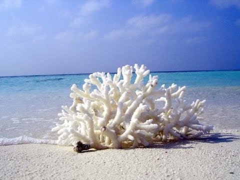 Нижнегрудной отдел позвоночника остеохондроз Что делать если сильно болит шея с левой