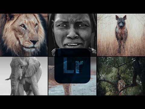 Lightroom Master Class - How to Get PERFECT COLORS & Contrast