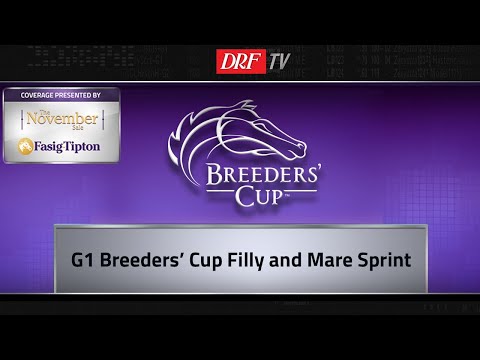 Breeders' Cup Filly and Mare Sprint 2018 Preview