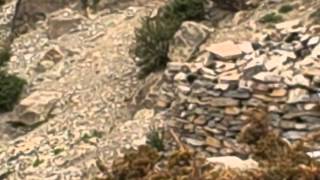 Nar Village Yaks, Pt. 1