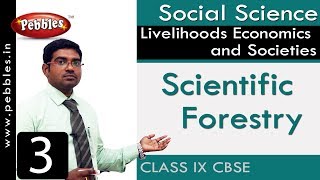 Scientific Forestry : Livelihoods Economics and Societies | Social | CBSE Syllabus | Class 9