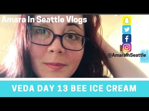 Bee Ice Cream | VEDA 2 0 Day 13