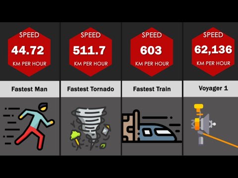Speed Comparison: Fastest Things