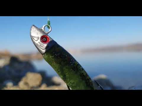 Pescuit pe Olt la stiuca 2022 pe golf in Olt opusu balta la Cherlesti in Olt barajul Arcesti-Mosteni