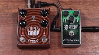 Video thumbnail for T-Rex Honey Drop by Wall of Sound