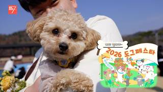 2026 도그페스타 / 강원매거진7 / [화제 현장] / G1방송 / 260327