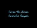 Como Un Perro - Cornelio Reyna (Letra)