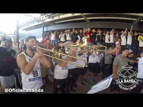 "dale alegria a mi corazon -  Intrumental de la Garra Blanca || La BANDA oficial" Barra: Garra Blanca • Club: Colo-Colo