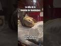The Legend Of The Girl From The Guadalajara Cathedral Urbanlegends Truestories Mystery