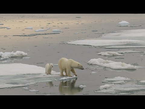 Rekordhitze am Polarmeer! Das sind die Folgen für Deutschland