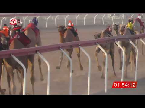  ش 7 (الشاهينيه) لـ احمد عبدالله بن حاذه الكتبي 3:18 ، شارة الصندوق 2026/08/28 فطامين الجبيب
