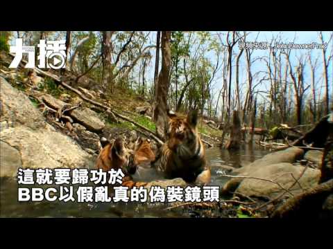 以假亂真的偽裝攝像機