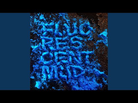 Where's The Garbage Can?