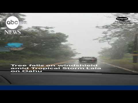 Tree falls on windshield amid Tropical Storm Lala