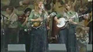 Music video thumbnail preview for Last Old Shovel by Cherryholmes