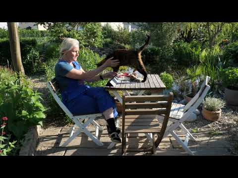 Ulrike Zeinzinger: Charlottes Wunschperlen (erschienen im Wort Weit Verlag)