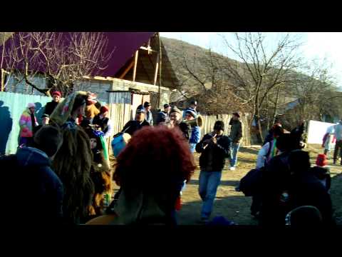 Capra de La Ursoaia 2012 Vaslui 4