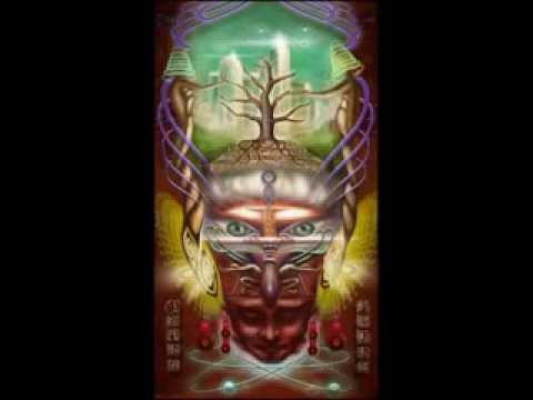 Burn In Noise (Live Set 2013)