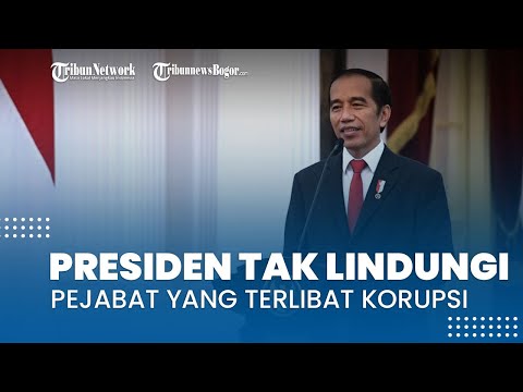 Tag: Jokowi - Dua Menteri Kabinet Indonesia Maju Jadi Tersangka Korupsi, Jokowi: Saya Tak Lindungi yang Korupsi - Tribunnews.com Mobile