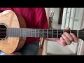 Skull and nettlework Robin Williamson guitar lesson