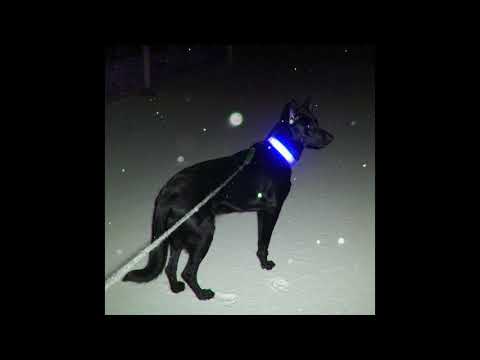 BAMBI - Murder House [Prod. HOUNDS]