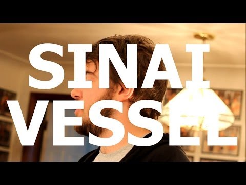Sinai Vessel - "Cats" Live at Little Elephant (1/3)