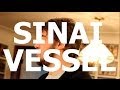 Sinai Vessel - "Cats" Live at Little Elephant (1/3 ...