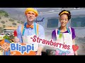 Blippi And Meekah Make Healthy Fruit Popsicles Educational Videos Blippi And Meekah Kids TV