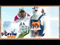 Arctic Friends | Swifty The Arctic Fox | Cartoon For Kids | Puffins World