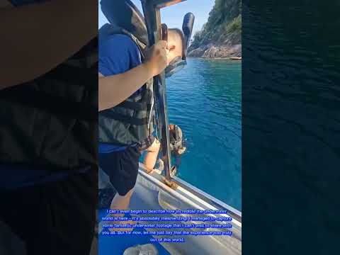 Tropical underwater adventures across Malaysia - Malaysia scuba diving video