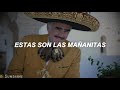 LAS MAÑANITAS - Vicente Fernández (LETRA) estas son las mañanitas