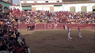 preview picture of video 'MARTES DE TOROS Y DESPEDIDA DE FIESTAS. FIESTAS DE LUMBRALES 2012.'