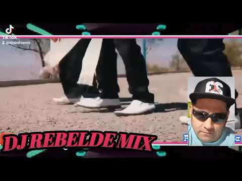 delfines del amor remix