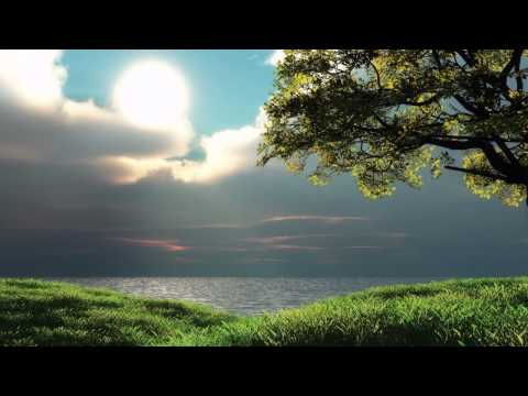 Coram Deo Oradea-Tie iti dau