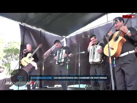 METELE PLOMO, TAPECITO