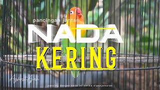 Download lagu NADA KERING DOBELAN‼️PEMICU JANTAN DIJEMUR BANYAK NGRIWIK mp3 Download lagu NADA KERING DOBELAN‼️PEMICU JANTAN DIJEMUR BANYAK NGRIWIK mp3