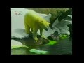 World Famous San Diego Zoo 2002