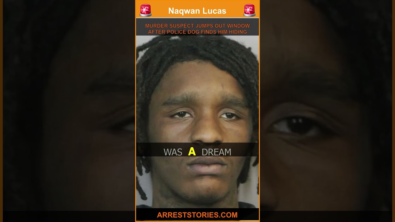 MURDER SUSPECT JUMPS OUT WINDOW AFTER POLICE DOG FINDS HIM HIDING