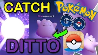Pokemon Go Ditto disguises: How to catch Ditto in February 2024 #PokemonGo #DittoDisguises